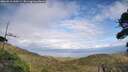 ./images/calvert/fitz-hugh-hecate/20260910/fitz-hugh-hecate20260910_160501M.jpg