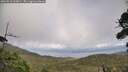 ./images/calvert/fitz-hugh-hecate/20260910/fitz-hugh-hecate20260910_163001M.jpg