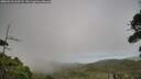 ./images/calvert/fitz-hugh-hecate/20260910/fitz-hugh-hecate20260910_165501M.jpg