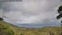 ./images/calvert/fitz-hugh-hecate/20260910/fitz-hugh-hecate20260910_172501M.jpg