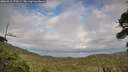 ./images/calvert/fitz-hugh-hecate/20260910/fitz-hugh-hecate20260910_173501M.jpg