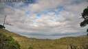 ./images/calvert/fitz-hugh-hecate/20260910/fitz-hugh-hecate20260910_174501M.jpg