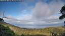 ./images/calvert/fitz-hugh-hecate/20260910/fitz-hugh-hecate20260910_180501M.jpg