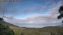 ./images/calvert/fitz-hugh-hecate/20260910/fitz-hugh-hecate20260910_181001M.jpg
