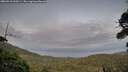 ./images/calvert/fitz-hugh-hecate/20260910/fitz-hugh-hecate20260910_200501M.jpg
