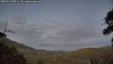 ./images/calvert/fitz-hugh-hecate/20260910/fitz-hugh-hecate20260910_202001M.jpg