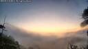 ./images/calvert/fitz-hugh-hecate/20260911/fitz-hugh-hecate20260911_064001M.jpg