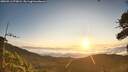 ./images/calvert/fitz-hugh-hecate/20260911/fitz-hugh-hecate20260911_073001M.jpg