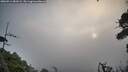 ./images/calvert/fitz-hugh-hecate/20260911/fitz-hugh-hecate20260911_081001M.jpg