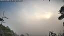 ./images/calvert/fitz-hugh-hecate/20260911/fitz-hugh-hecate20260911_082001M.jpg