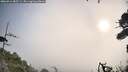 ./images/calvert/fitz-hugh-hecate/20260911/fitz-hugh-hecate20260911_085501M.jpg