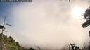./images/calvert/fitz-hugh-hecate/20260911/fitz-hugh-hecate20260911_093501M.jpg