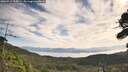 ./images/calvert/fitz-hugh-hecate/20260911/fitz-hugh-hecate20260911_105002M.jpg