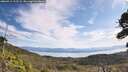 ./images/calvert/fitz-hugh-hecate/20260911/fitz-hugh-hecate20260911_112501M.jpg