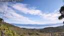 ./images/calvert/fitz-hugh-hecate/20260911/fitz-hugh-hecate20260911_115001M.jpg