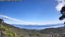 ./images/calvert/fitz-hugh-hecate/20260911/fitz-hugh-hecate20260911_125001M.jpg