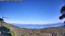 ./images/calvert/fitz-hugh-hecate/20260911/fitz-hugh-hecate20260911_152501M.jpg
