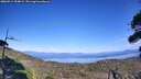 ./images/calvert/fitz-hugh-hecate/20260911/fitz-hugh-hecate20260911_154001M.jpg