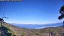 ./images/calvert/fitz-hugh-hecate/20260911/fitz-hugh-hecate20260911_160501M.jpg