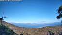 ./images/calvert/fitz-hugh-hecate/20260911/fitz-hugh-hecate20260911_174001M.jpg
