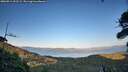 ./images/calvert/fitz-hugh-hecate/20260911/fitz-hugh-hecate20260911_191502M.jpg