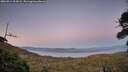 ./images/calvert/fitz-hugh-hecate/20260911/fitz-hugh-hecate20260911_201001M.jpg