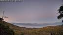 ./images/calvert/fitz-hugh-hecate/20260911/fitz-hugh-hecate20260911_201501M.jpg