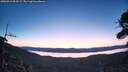 ./images/calvert/fitz-hugh-hecate/20260912/fitz-hugh-hecate20260912_063501M.jpg