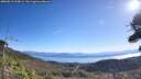 ./images/calvert/fitz-hugh-hecate/20260913/fitz-hugh-hecate20260913_103001M.jpg