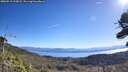 ./images/calvert/fitz-hugh-hecate/20260913/fitz-hugh-hecate20260913_105002M.jpg