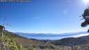 ./images/calvert/fitz-hugh-hecate/20260913/fitz-hugh-hecate20260913_105501M.jpg