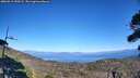 ./images/calvert/fitz-hugh-hecate/20260913/fitz-hugh-hecate20260913_153501M.jpg