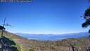 ./images/calvert/fitz-hugh-hecate/20260913/fitz-hugh-hecate20260913_154002M.jpg