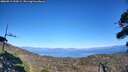 ./images/calvert/fitz-hugh-hecate/20260913/fitz-hugh-hecate20260913_154501M.jpg