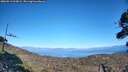 ./images/calvert/fitz-hugh-hecate/20260913/fitz-hugh-hecate20260913_163001M.jpg