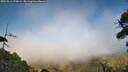 ./images/calvert/fitz-hugh-hecate/20260913/fitz-hugh-hecate20260913_173001M.jpg