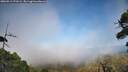 ./images/calvert/fitz-hugh-hecate/20260913/fitz-hugh-hecate20260913_173501M.jpg