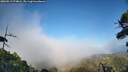 ./images/calvert/fitz-hugh-hecate/20260913/fitz-hugh-hecate20260913_174001M.jpg
