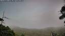 ./images/calvert/fitz-hugh-hecate/20260913/fitz-hugh-hecate20260913_200001M.jpg
