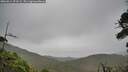 ./images/calvert/fitz-hugh-hecate/20260914/fitz-hugh-hecate20260914_073501M.jpg