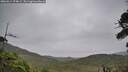 ./images/calvert/fitz-hugh-hecate/20260914/fitz-hugh-hecate20260914_074002M.jpg