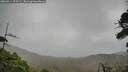 ./images/calvert/fitz-hugh-hecate/20260914/fitz-hugh-hecate20260914_075501M.jpg