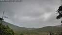 ./images/calvert/fitz-hugh-hecate/20260914/fitz-hugh-hecate20260914_080501M.jpg