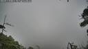 ./images/calvert/fitz-hugh-hecate/20260914/fitz-hugh-hecate20260914_094001M.jpg