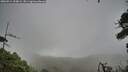 ./images/calvert/fitz-hugh-hecate/20260914/fitz-hugh-hecate20260914_100002M.jpg