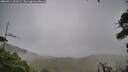 ./images/calvert/fitz-hugh-hecate/20260914/fitz-hugh-hecate20260914_101502M.jpg