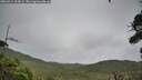 ./images/calvert/fitz-hugh-hecate/20260914/fitz-hugh-hecate20260914_105001M.jpg