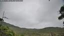 ./images/calvert/fitz-hugh-hecate/20260914/fitz-hugh-hecate20260914_110002M.jpg
