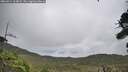 ./images/calvert/fitz-hugh-hecate/20260914/fitz-hugh-hecate20260914_114001M.jpg