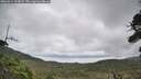 ./images/calvert/fitz-hugh-hecate/20260914/fitz-hugh-hecate20260914_124001M.jpg
